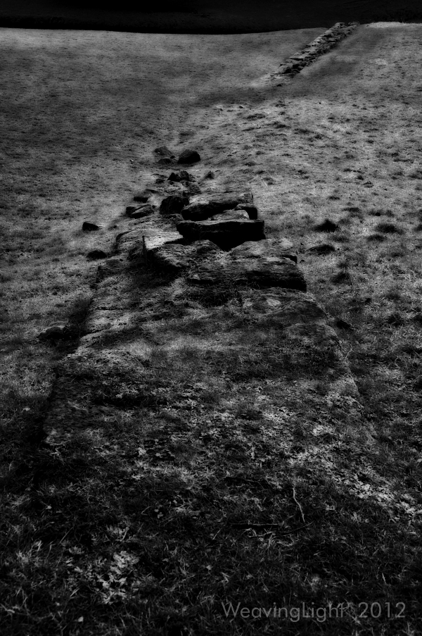Wall remains at Fountains Abbey