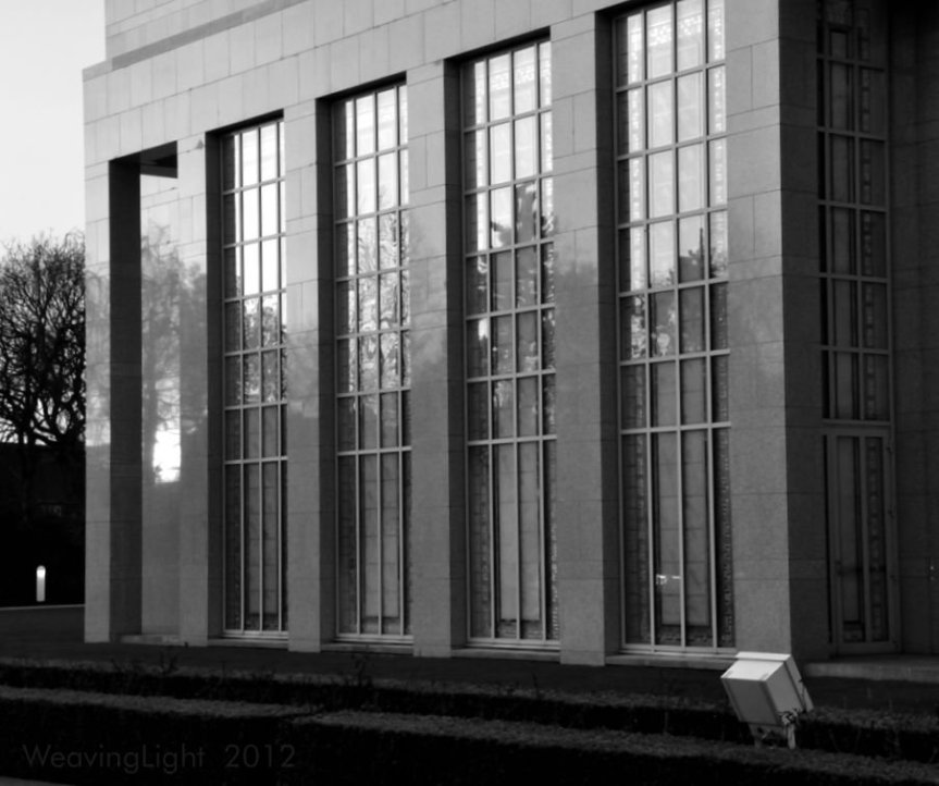 DSC_2864_01 reflections