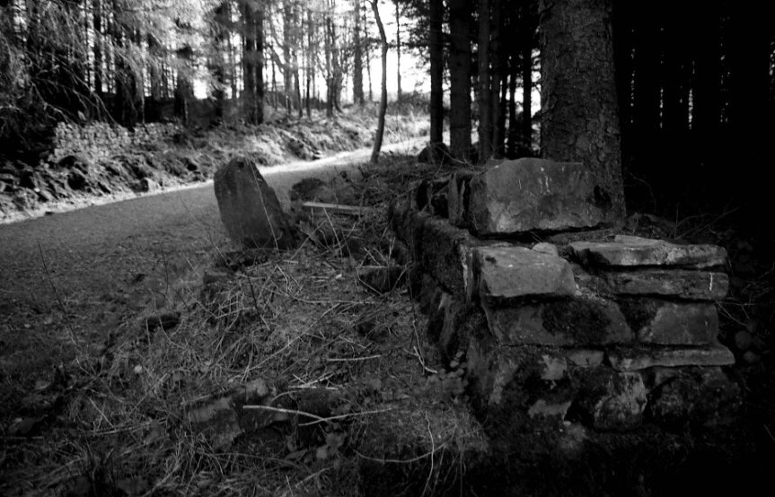 Dry Stone Wall and Path