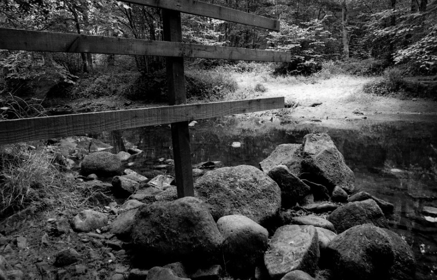 Bolton Abbey fence into the water