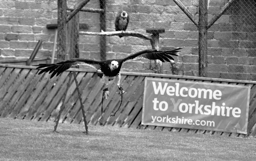 welcome to yorkshire