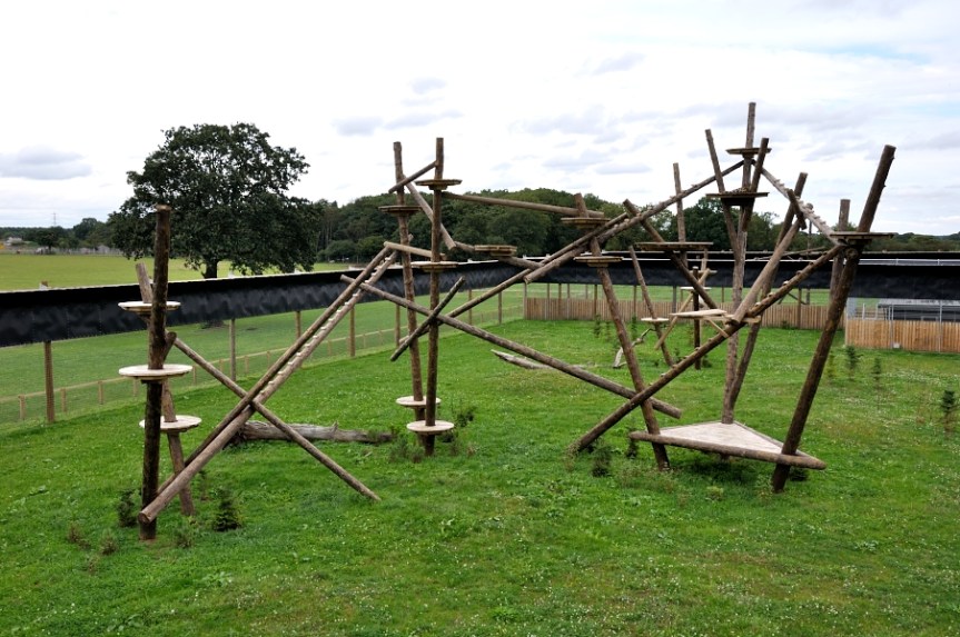 Yorkshire Wildlife Park Leopard enclosure