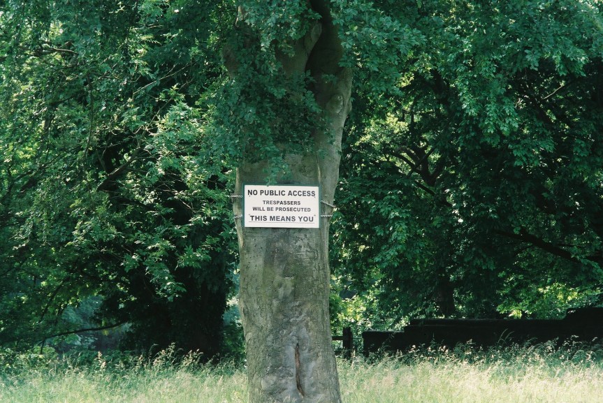 Tree warning