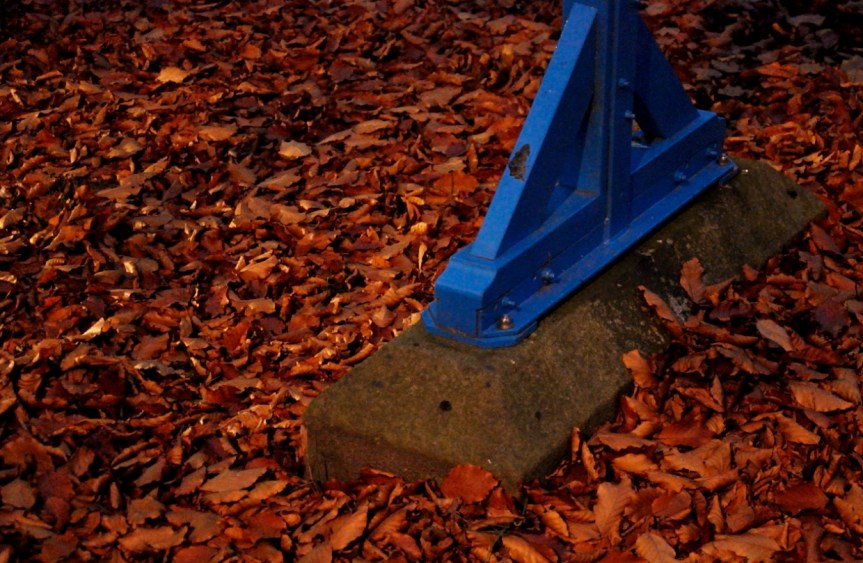 DSC_4380_1 fallen leaves