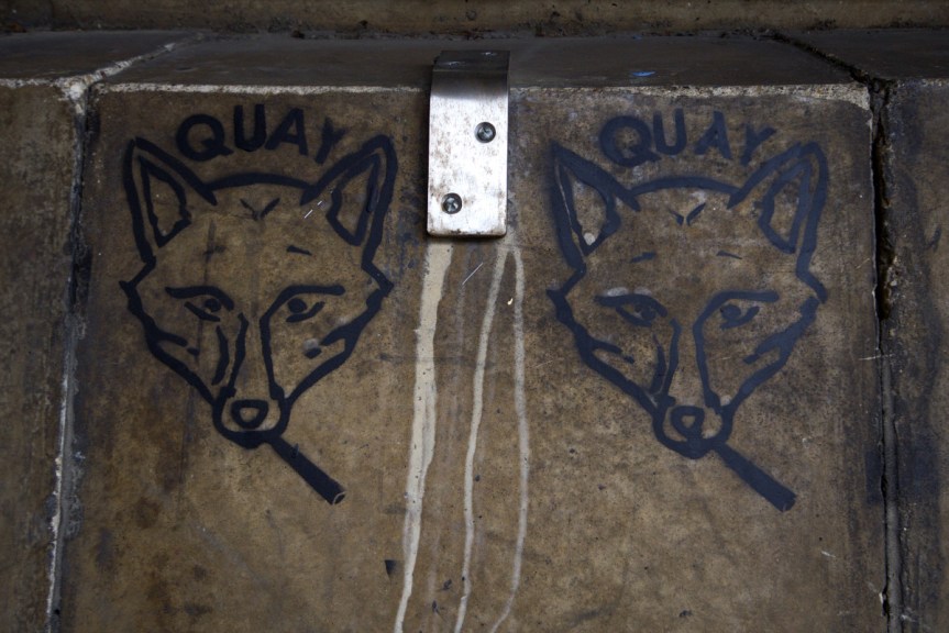 smoking fox graffiti