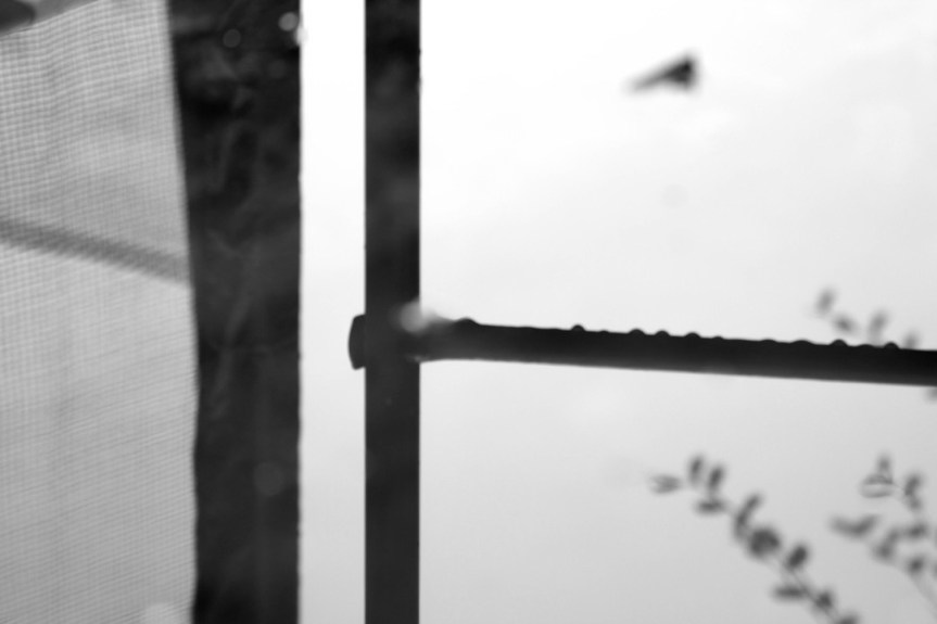 reflections of dirty water