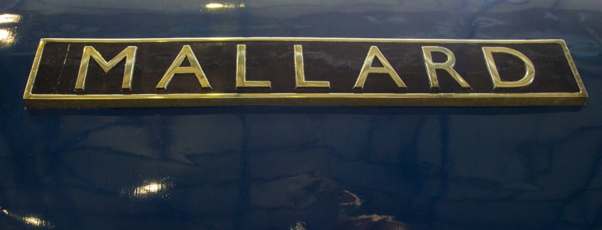 Mallard