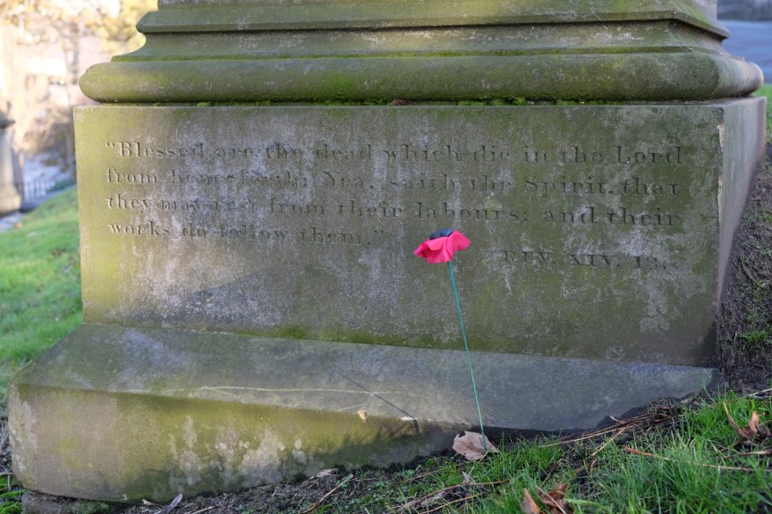 poppy in the graveyard