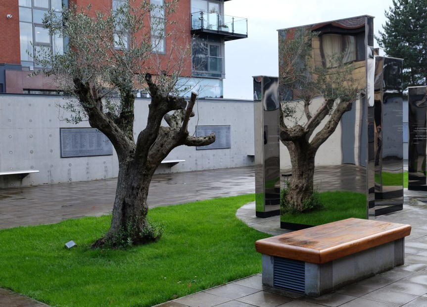 Olive Tree St Andrews Cathedral