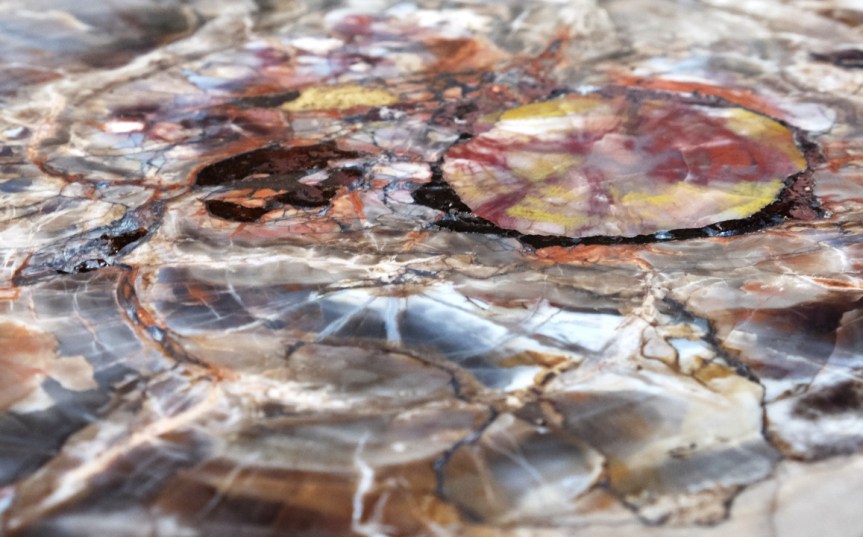 Petrified Tree Stump