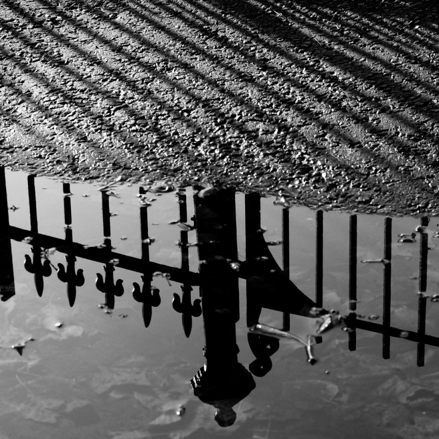 reflection of metal fence in water