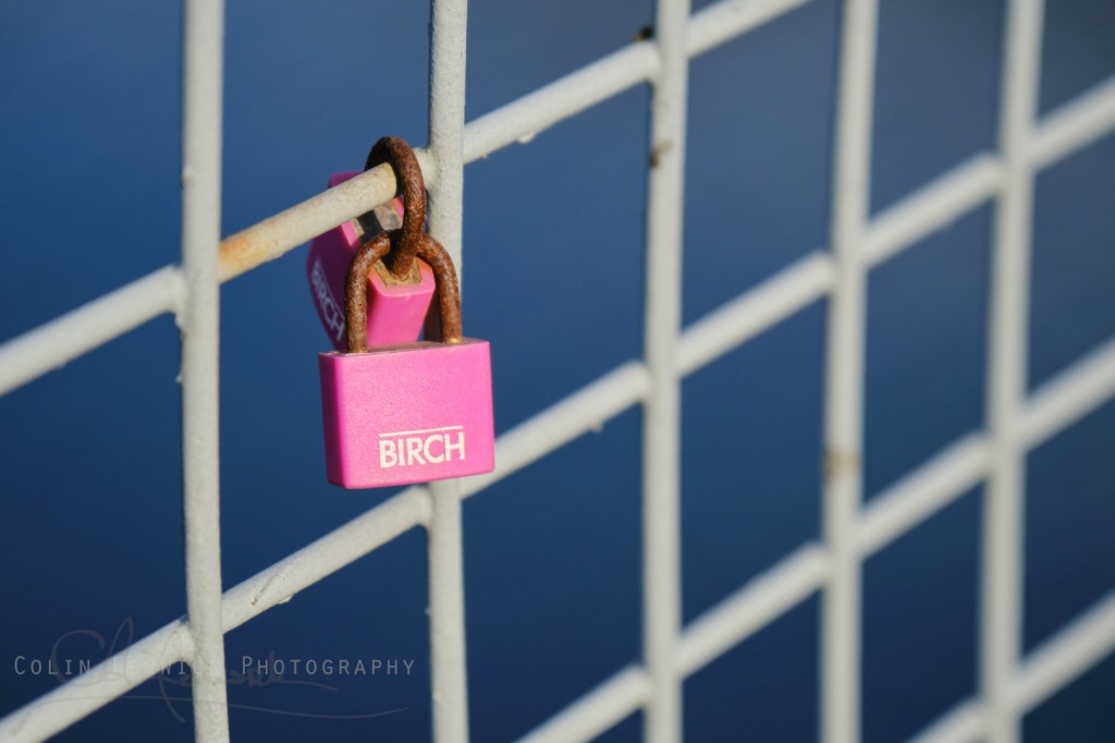 a pair of pink padlocks locked together on a bridge