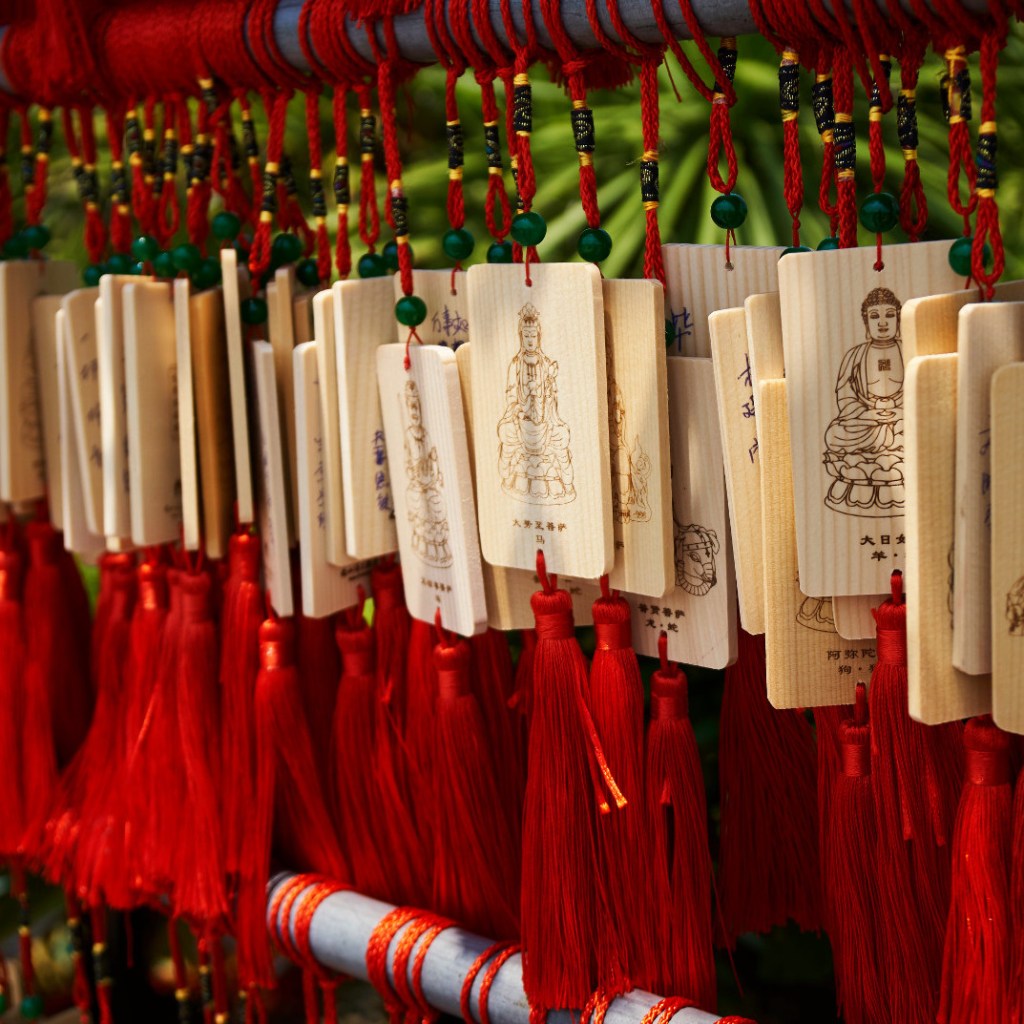 link to travel gallery