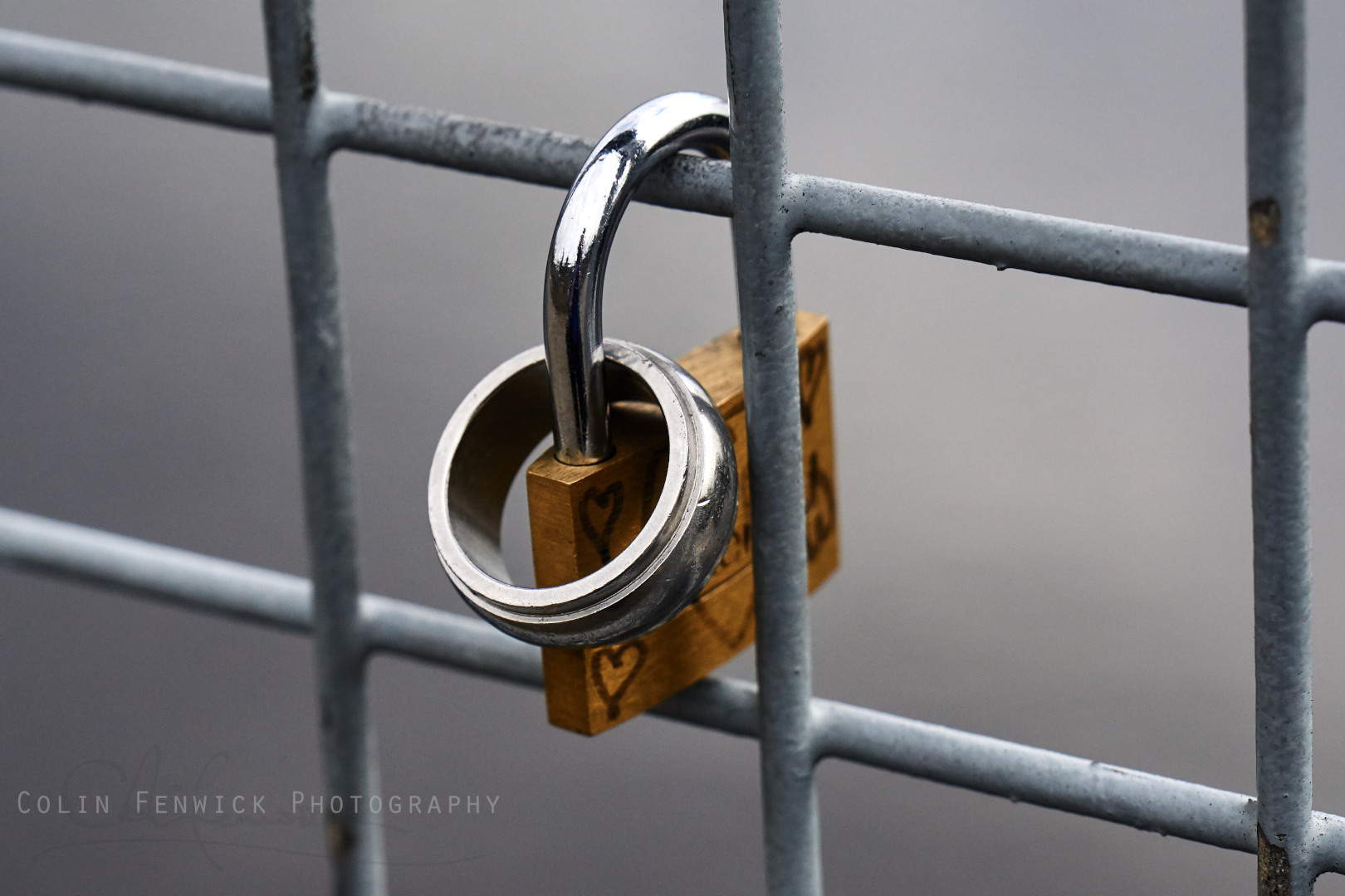 Ring attached to padlock attached to fence