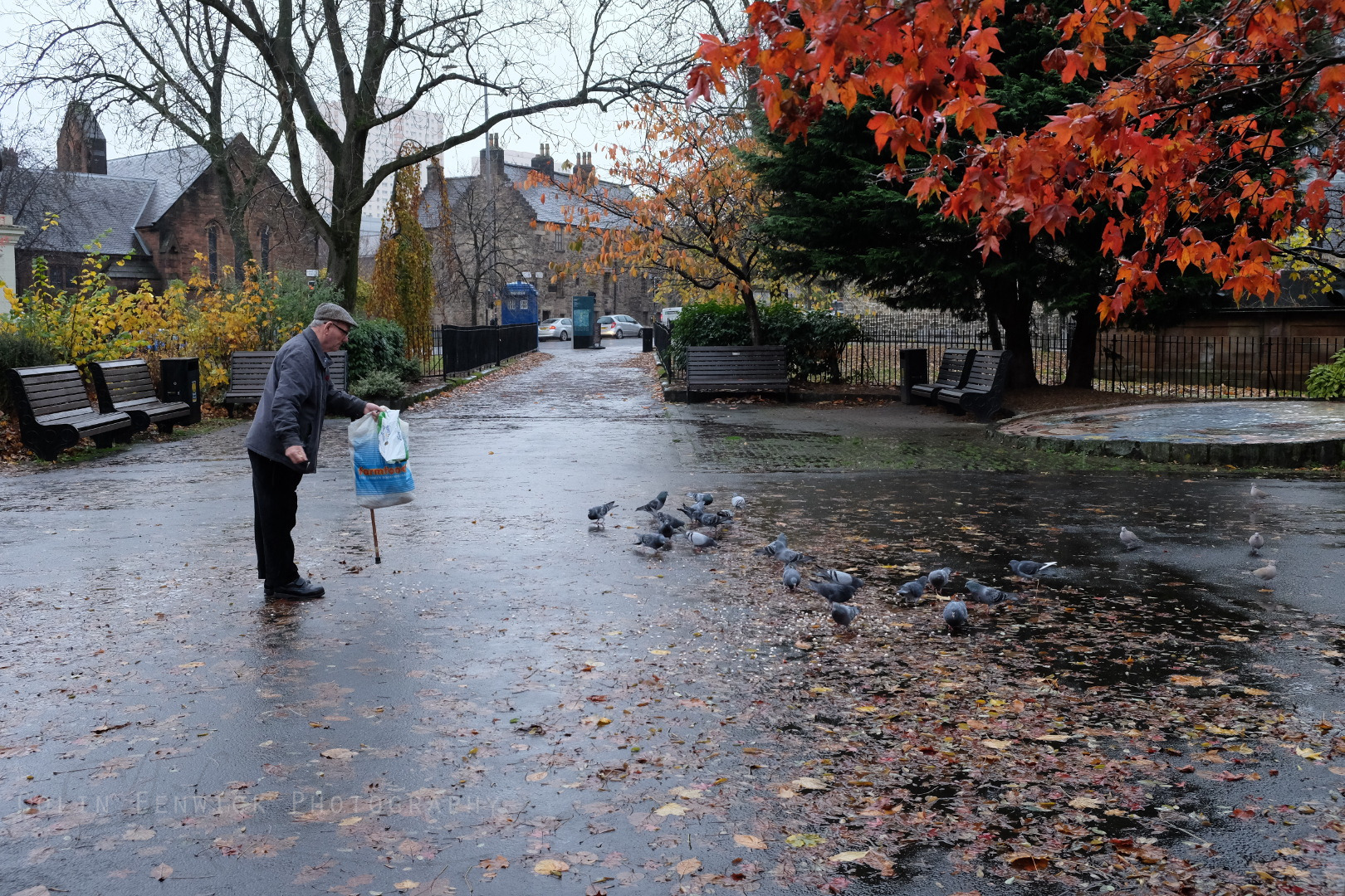 elderly man feeding the birds