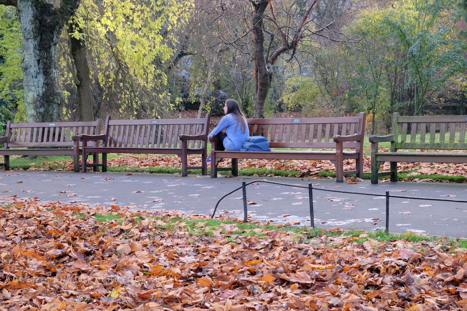 Girl sitting on a bench