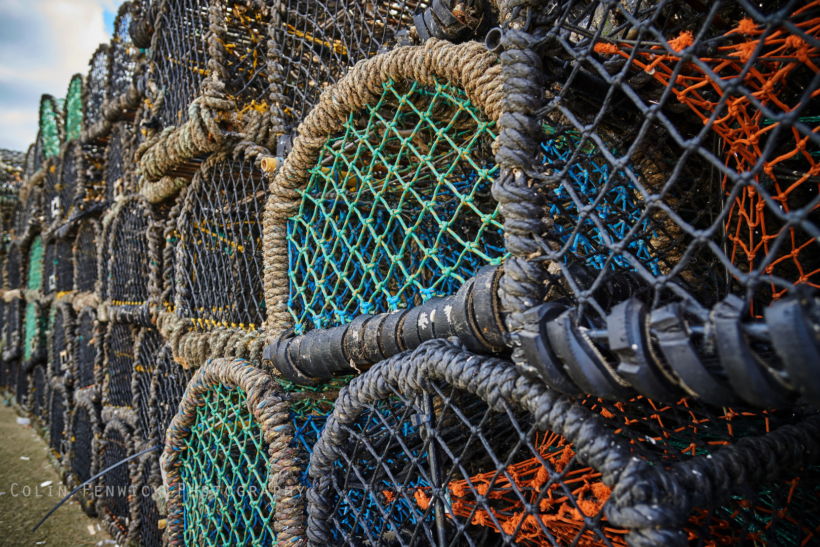 oyster nets