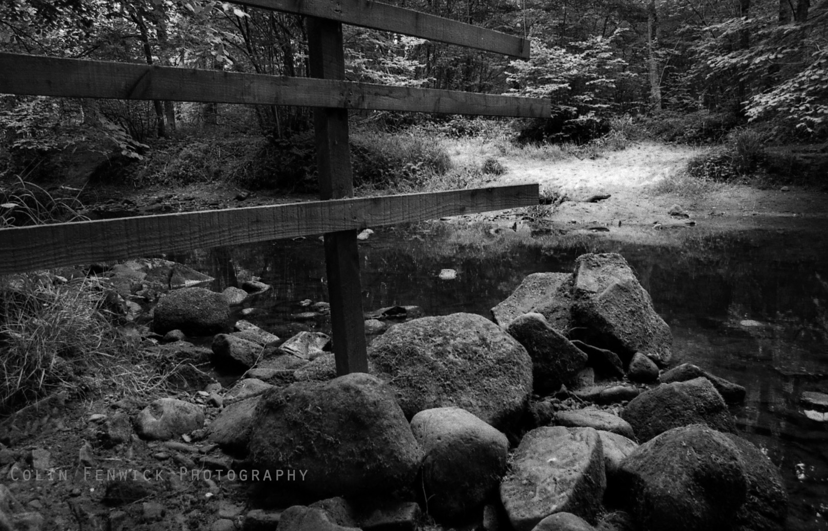 Fence by a river in a forest
