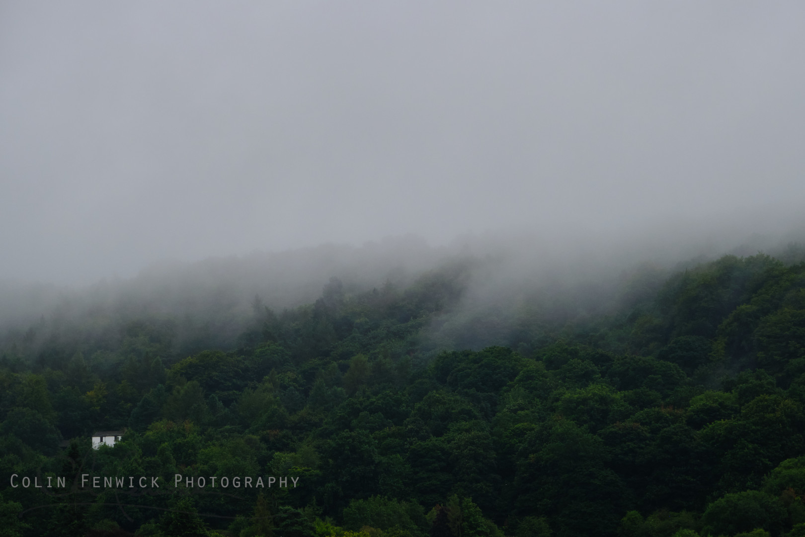 house on a tree covered hillside