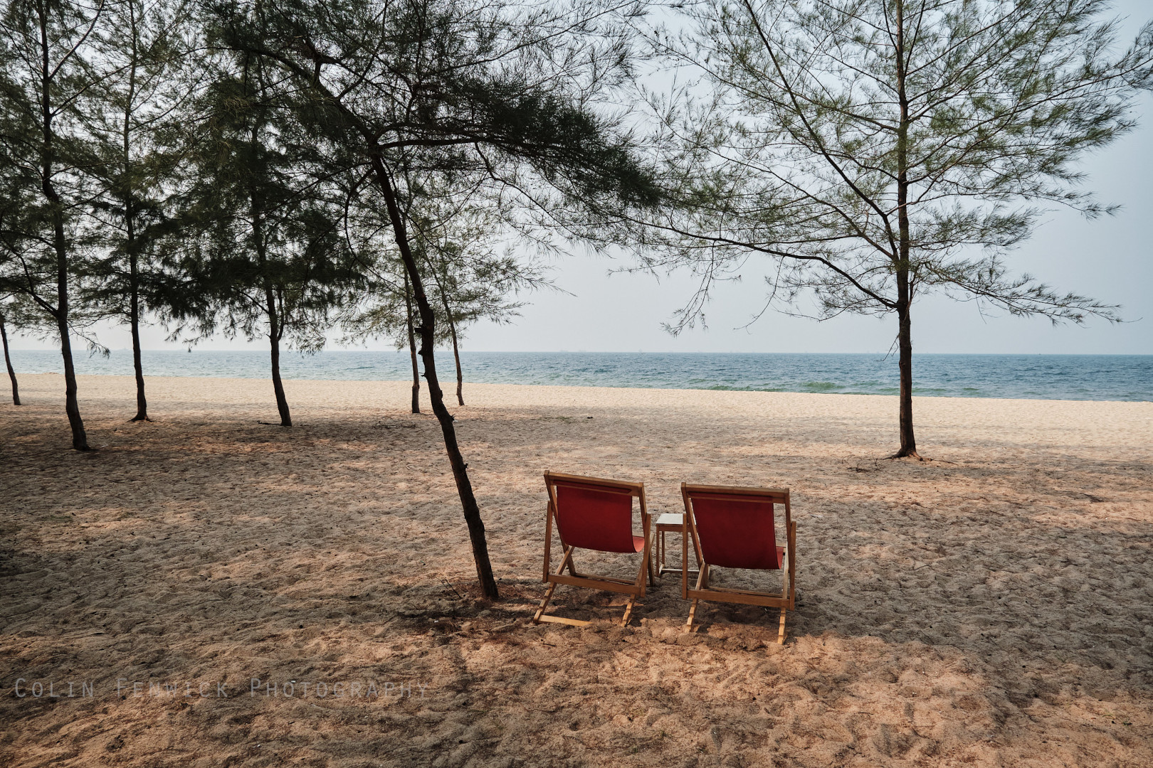Deck chairs on the beach with trees