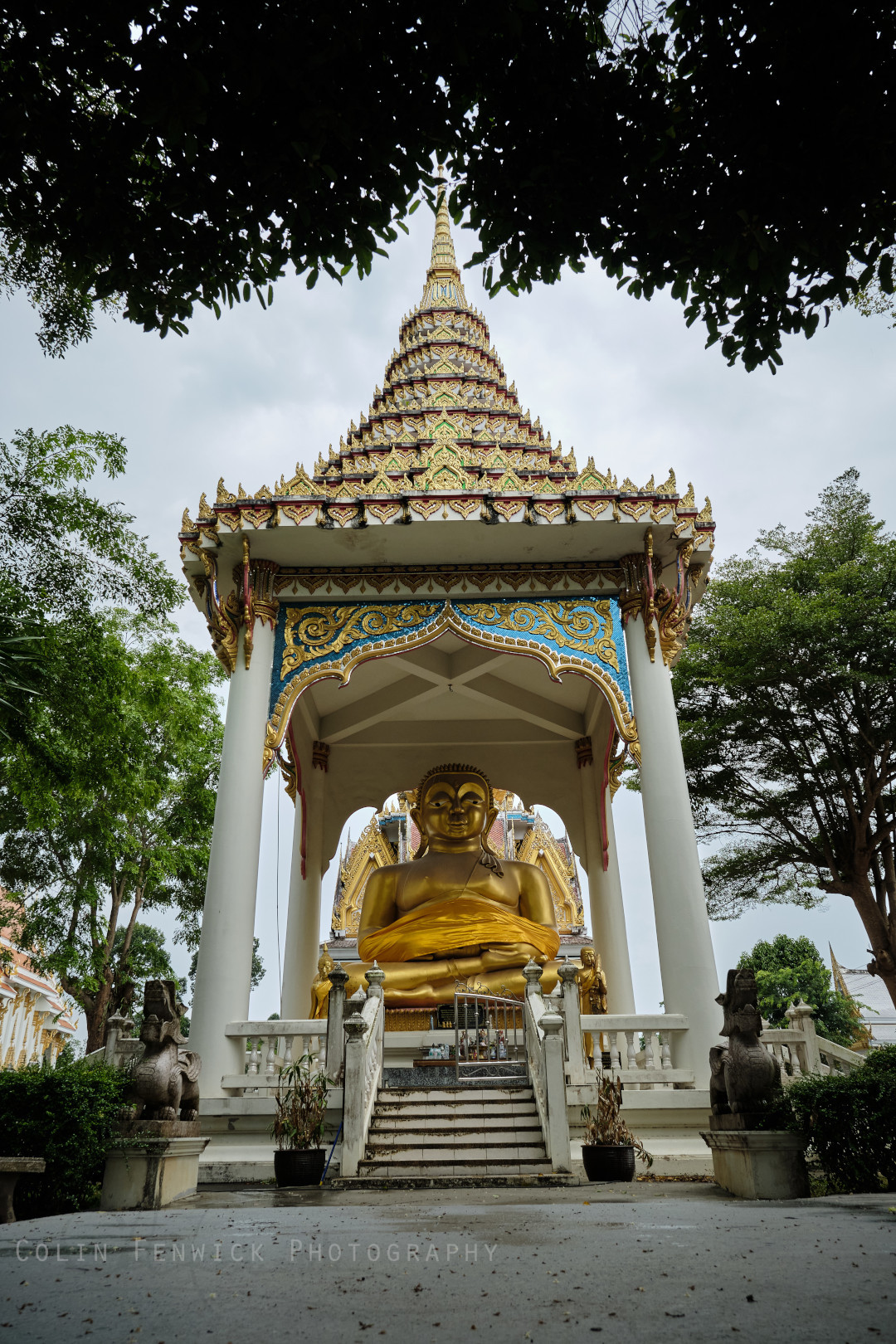golden buddha statue under canopy