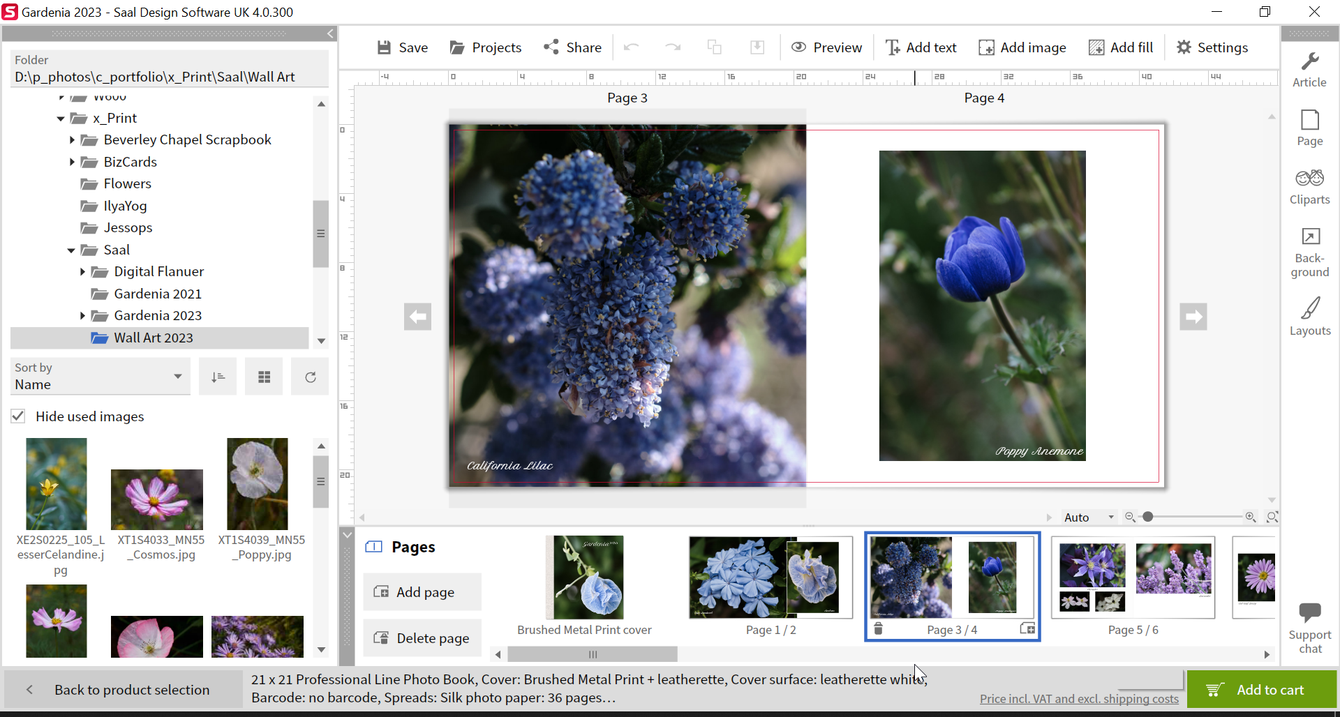 Saal Design Software workspace