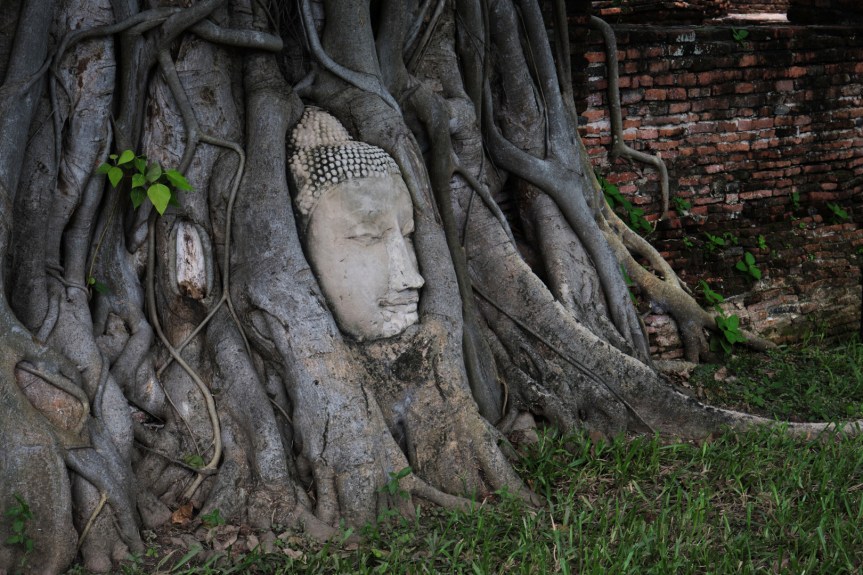 Ayutthaya: Wat Mahathat