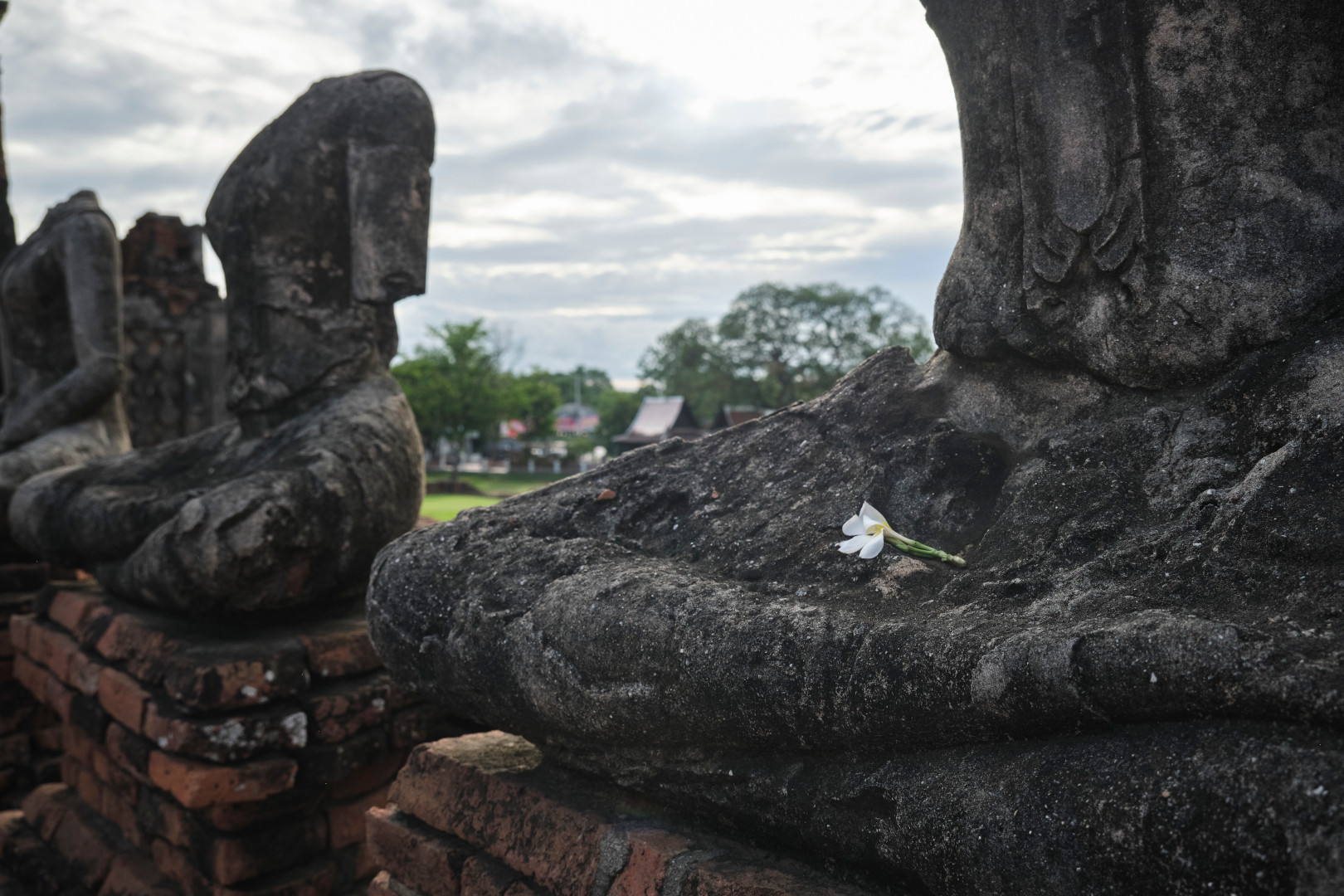 Flower left for a Buddha statue